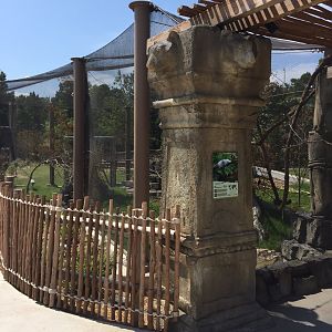 Lost Kingdom - Aviary