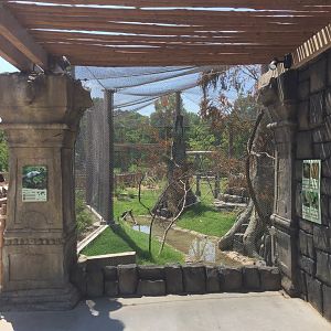 Lost Kingdom - Aviary