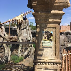 Lost Kingdom - Binturong (summer) and Red Panda (winter) exhibit