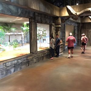 Lost Kingdom -Komodo dragon indoor exhibit