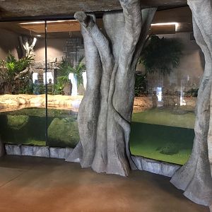 Lost Kingdom -Chinese Alligator, Malaysian giant turtle and Southern river turtle exhibit