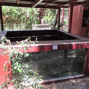 Black-Tailed Prairie Dog Exhibit