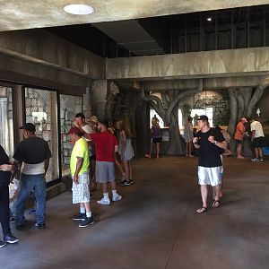 Lost Kingdom - interior tiger presentation area