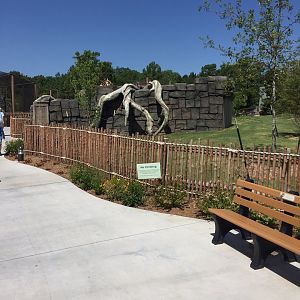 Lost Kingdom - side of Binturong/Red Panda exhibit