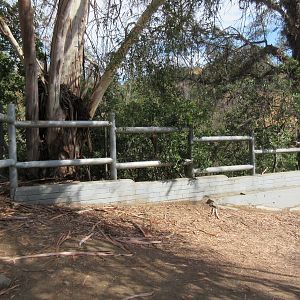 Old Los Angeles Zoo (long since closed) - elephant fencing
