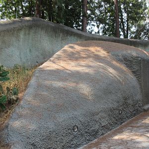 Old Polar Bear Exhibit (near LAIR)