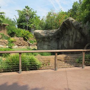Lowland Gorilla Exhibit