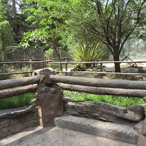 African Wild Dog Exhibit - Viewing Area