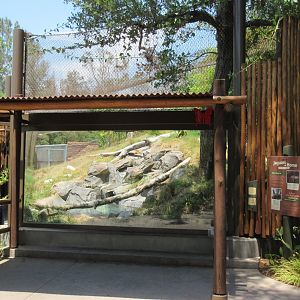 Jaguar Exhibit