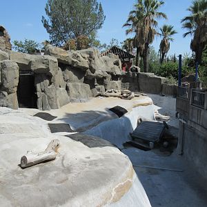 Abandoned Pinniped Pool (empty for many years)