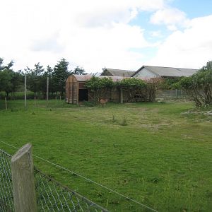 Blåvand Zoo - Sika deer exhibit