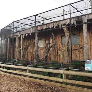 Exotic Parrot Aviary - July 2017