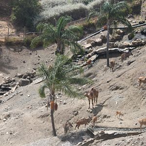 View of the Lake Reserve