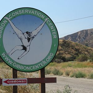Entrance Sign + Logo