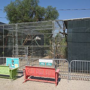 Pileated Gibbon Exhibit