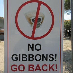Gibbon Sign (employee area)