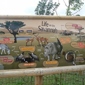 Example of Large Signage - 21 July 2017