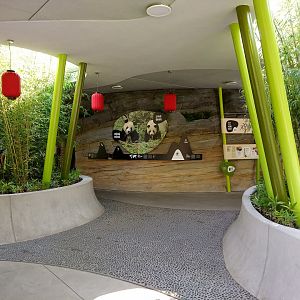 Visitor Area - Pandas