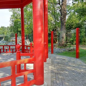 Pandas - Viewing Area