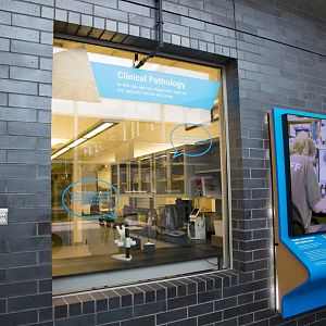 Clinical Pathology and Parasitology