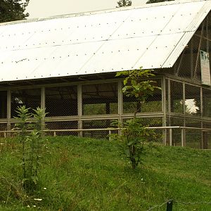 Leopard enclosure - Lalazar Wildlife Park 2017