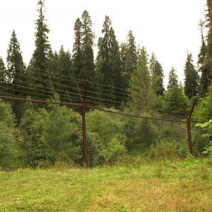 Goral enclosure - Lalazar Wildlife Park 2017