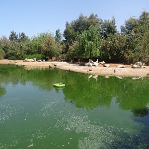 03/05/17 - Waterfowl pond