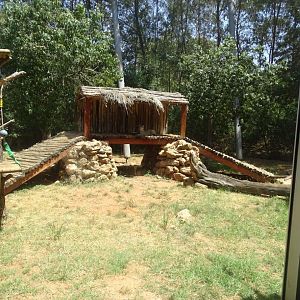 03/05/17 - Serval (exhibit)