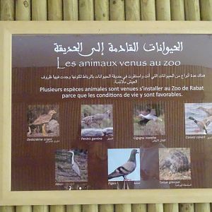 03/05/17 - Example of signage (wild birds you can encounter in the zoo)