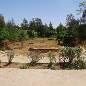 03/05/17 - Amphitheatre