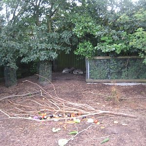 Blåvand Zoo - Porcupine exhibit