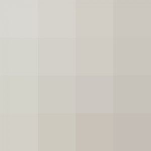 Black/Brown Headed Spider Monkey?