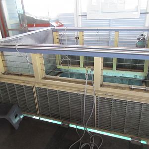 Wet Deck (fishing lines dangling into the ocean)