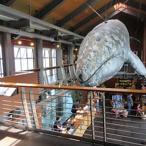 Mezzanine Level View