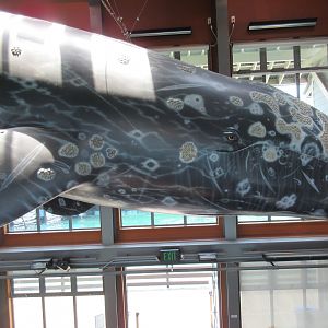 Mezzanine Level View