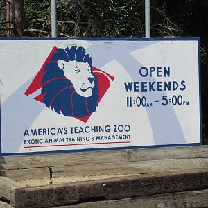 Entrance Sign + Logo
