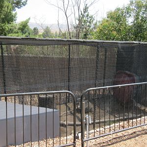 Burmese Python Exhibit