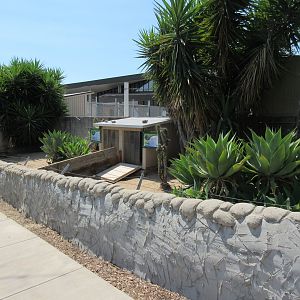 Leopard Tortoise + African Spurred Tortoise Exhibits