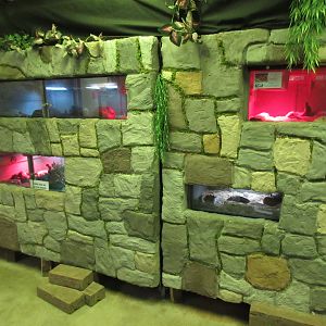 Reptile House - Terrariums
