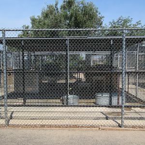 Spotted Hyena Exhibit (one of several nasty-looking little carnivore cages)
