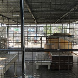 African Lion Exhibit (one of several nasty-looking little carnivore cages)