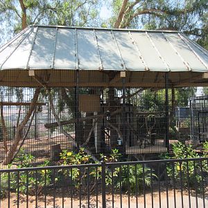 Vervet Monkey Exhibit