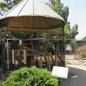 North American Porcupine Exhibit