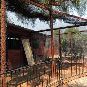 Future Bird of Prey Aviaries