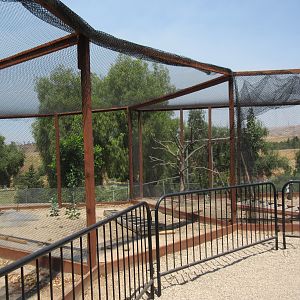 Future Bird of Prey Aviaries