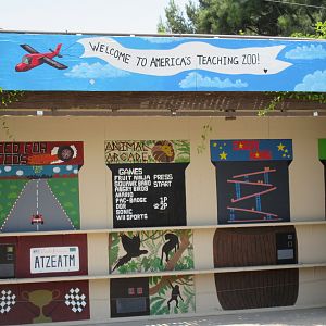 Presentation Stage - Backdrop