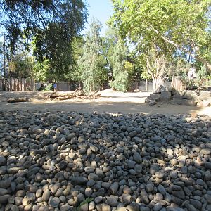 Grevy's Zebra Exhibit (rock city!)
