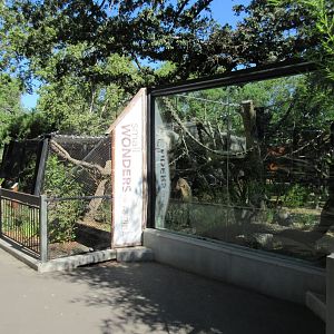 Small Wonders (New in 2014) - Wolf's Guenon Exhibit