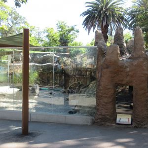 Small Wonders (New in 2014) - Fennec Fox/Aardvark Exhibit (with terrible glare)