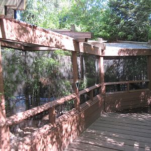 Azure-Winged Magpie/Himalayan Monal Pheasant Exhibit
